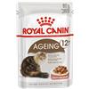 ROYAL CANIN ITALIA SpA FHN WET AGEING 12+ 85G