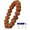 Astrotalk Bracciale 7 Mukhi Rudraksha | Potente scudo di positività e crescita | Sawan Special | Perline originali Rudraksha | Braccialetto astrologico per uomo e donna | Regalo per uomo e donna