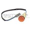 Prasco FT1214039 - Indicatore Direzione
