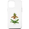 The Botany Bureau Custodia per iPhone 12 Pro Max Illustrazione della pianta dell'orchidea pantofola della signora Paphiopedilum