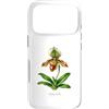 The Botany Bureau Custodia per iPhone 17 Pro Illustrazione della pianta dell'orchidea pantofola della signora Paphiopedilum