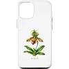 The Botany Bureau Custodia per iPhone 12/12 Pro Illustrazione della pianta dell'orchidea pantofola della signora Paphiopedilum