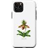 The Botany Bureau Custodia per iPhone 11 Pro Illustrazione della pianta dell'orchidea pantofola della signora Paphiopedilum