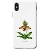 The Botany Bureau Custodia per iPhone X/XS Illustrazione della pianta dell'orchidea pantofola della signora Paphiopedilum