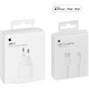 APPLE Adattatore di alimentazione Apple da 20 W USB-C + cavo da USB-C a Lightning da 2 m - Pacchetto