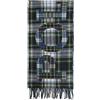 POLO RALPH LAUREN - Sciarpe e foulard - Verde scuro