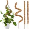 TEHJAM 3 Pezzi Sostegno per Piante Rampicanti,Supporti Piante,Sostegno Rampicanti Casa Giardino Balcone