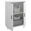Dmora - Armadio multiuso Serles, Mobile multifunzione portascarpe, Armadietto a 2 ante, 61x35h80 cm, Bianco