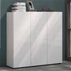 Dmora - Scarpiera Centurion, Mobile portascarpe, Armadio da ingresso multiuso, Mobiletto per calzature, Made in Italy, 120x34h115 cm, Bianco lucido
