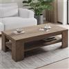 Dmora Tavolino da Salotto Arafura 130x67x41h cm Marrone Noce Un Vano Forma Rettangolare, Sfumatura Colore Ripiano Noce