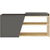 Dmora Scarpiera Dione 104x47x37h cm Marrone Quercia 2 Ripiani Un'anta, Mobile Portascarpe 4 Vani
