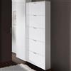 Dmora - Scarpiera Washington, Armadio portascarpe a 5 ante a ribalta, Scarpiera da ingresso moderna, 70x17h180 cm, Bianco lucido
