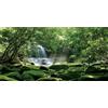 MIRRORANG 120x46cm Foresta terrario Sfondo Tropicale Foresta pluviale Rettile Habitat Sfondo Pietra soleggiata Cascata Acquario Sfondo Vinile