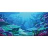 MIRRORANG 61x41cm Sottomarino Tema Acquario Sfondo Colorato Corallo Subacqueo Mondo Pesce Serbatoio Poster Sfondo Vinile Sfondo