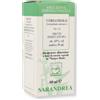 Coriandolo 60Ml Tintura Madre