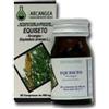 ARCANGEA SRL Arcangea Equiseto 60 Capsule 500 Mg Salute Delle Ossa