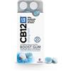 MEDA PHARMA SPA Meda Cb12 Boost Chewing-Gum Allo Xilitolo 10 Gomme Masticabili Menta Compresse