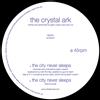 City Never Sleeps (Vinyl) Crystal Ark Viva Ruiz Gavin Russom