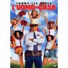 TERMINAL VIDEO ITALIA SRL L'uomo di casa (DVD) Tommy Lee Jones Anne Archer Brian Van Holt Christina Milian