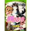 Junjou Romantica #17 | JAPAN BL Comic Book Manga