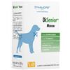 DYNAMOPET Srl Disenior medium 20 stick da 10 g