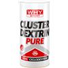 Why Sport Cluster Dextrin Pure 500gr