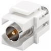 CENTRO D.M. Adattatore Keystone 75 Ohm connettore 9.5M/F Bianco