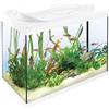 Tetra Acquario Starter Line 80 L, bianco, set completo - include illuminazione a LED diurna e notturna, filtro interno, riscaldatore, cibo per pesci e condizionatore
