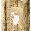37.75 Ct Gemma Di Topazio Naturale Giallo Dorato Grezzo Certificato AGI T43995