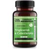 PALADIN PHARMA SpA Sanavita Colestlipid Plus 50 Compresse