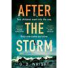 G. D. Wright After the Storm (Tascabile)