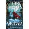Terry Brooks The Measure of the Magic (Tascabile)
