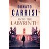 Donato Carrisi Into the Labyrinth (Tascabile)