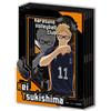 Ensky PAPER SHADOW ART mini anime "Haikyuu!!" Kei Tsukishima SA-M09 Papercraft Kit JP