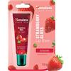 Himalaya Balsamo Fragola Lucido per Labbra - Tubo 10g