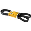 Contitech 7pk1549 Loose Multi-V cintura