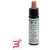 SANTIVERI SA AINSWORTHS CRAB APPLE 10ML