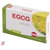KOS SRL EGCG THE VERDE 30 CAPSULE NUOVA FORMULA