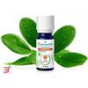 PURESSENTIEL ITALIA SRL PURESSENTIEL RAVINTSARA OLIO ESSENZIALE BIO 10 ML