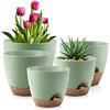 QRRICA Set di 5 vasi per piante autoinnaffianti da 25/22/20/19/17 cm, in plastica, con fori di drenaggio e piattini, vasi da fiori in plastica, per piante da interno ed esterno (verde)