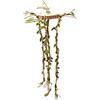 Generico Reptile Enclosure Accessories, Jumping Spider Decor And Climbing Toys For Snakes, Ball Pythons, And Chameleons, Habitat Enrichment For Tortoise Bearded Dragon, Safe