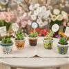 giftupstore Bomboniere Matrimonio, Mini Vaso in Ceramica con Pianta Grassa Vera Personalizzato - Bomboniere Matrimonio, Battesimo, Comunione, Cresima