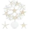 TaoQ C 15 Pezzo Stella di Mare Conchiglie di capesante, 5-9cm Miscelata Stella di Mare Bianche gusci di capesante per Decorazione di Nozze Beach Tema Party, Serbatoio di Pesce e Vaso Filler