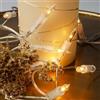 Hellum catena luminosa interni, luci natale, 10 Lampada chiare calde, lunghezza illuminata 1,35m, Colore del cavo trasparente, <59 lumen 150537