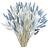 CEWUDA 120 Pezzi Fiori Secchi Decorativi Naturali Erba di Pampa Secca Fiori di Pampas Bianco e Grigio Composizione Coda di Coniglio Pampa per Matrimonio Decorazione D'interni Domestica Giardino Festa