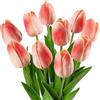 dellyy Tulipani artificiali, 10 pezzi, tulipani artificiali come veri, fiori artificiali, decorazione per soggiorno, camera da letto, tulipani artificiali come veri, non è necessario innaffiare piante