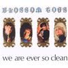 SUNBEAM We Are Ever So Clean