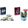 LEGO Botanicals Bundle Fiori e Piante: Include Margherite (11508) e Cactus in Fiore (11509) - Set di Fiori e Piante Artificiali - Decorazione Camera - Idea Regalo per Bambine e Adulti