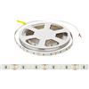 Striscia LED 24V 144W/m specifica per Banchi Pescheria IP54 - 5 metri
