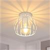 Comely Lampada da Soffitto Industriale, Plafoniera Vintage Disegn Gabbia